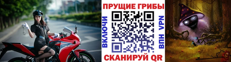 Псилоцибиновые грибы GOLDEN TEACHER  Купить где  Туймазы 