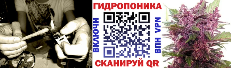 Марихуана план  Купить закладки  Туймазы 